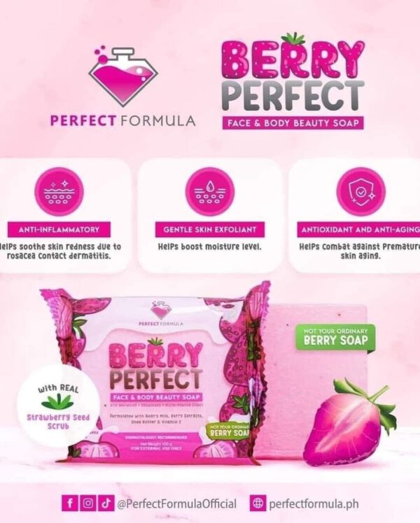 2x Perfect Formula Berry Perfect Face And Body Beauty Soap 100g - Image 3